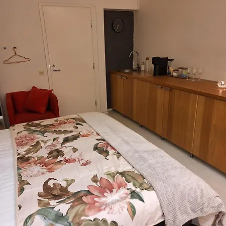 Luxhousing Vandrarhem Helsingfors